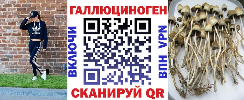 Купить где  Ростов-на-Дону  Галлюциногенные грибы мухоморы 